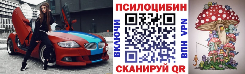 omg зеркало  shop клад  Псилоцибиновые грибы ЛСД  Шелехов 